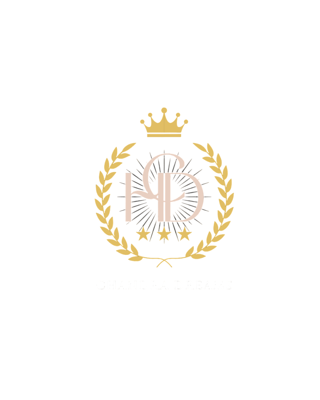 hotelchandradreams.com